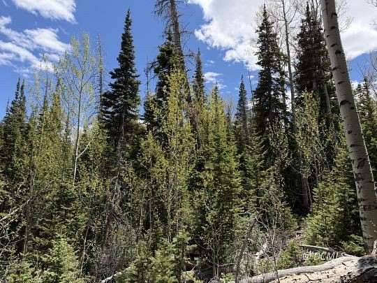 0.36 Acres of Residential Land for Sale in Brian Head, Utah