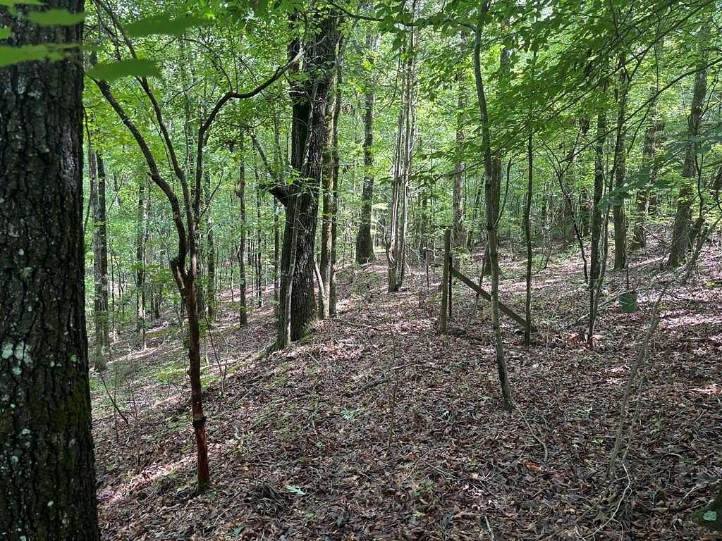 4 Acres of Residential Land for Sale in Hamilton, Georgia
