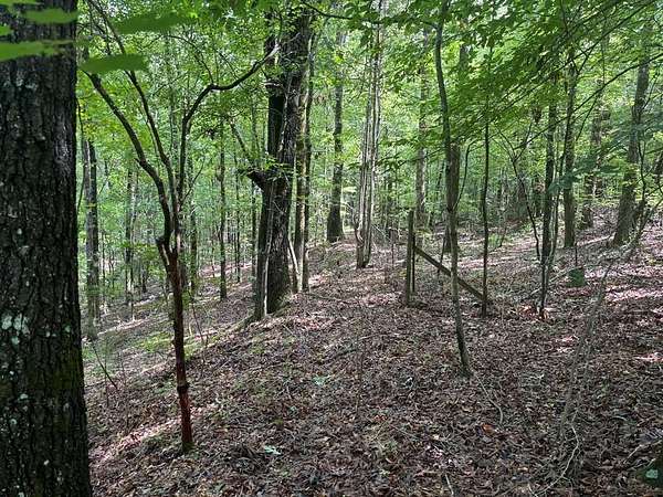 4 Acres of Residential Land for Sale in Hamilton, Georgia