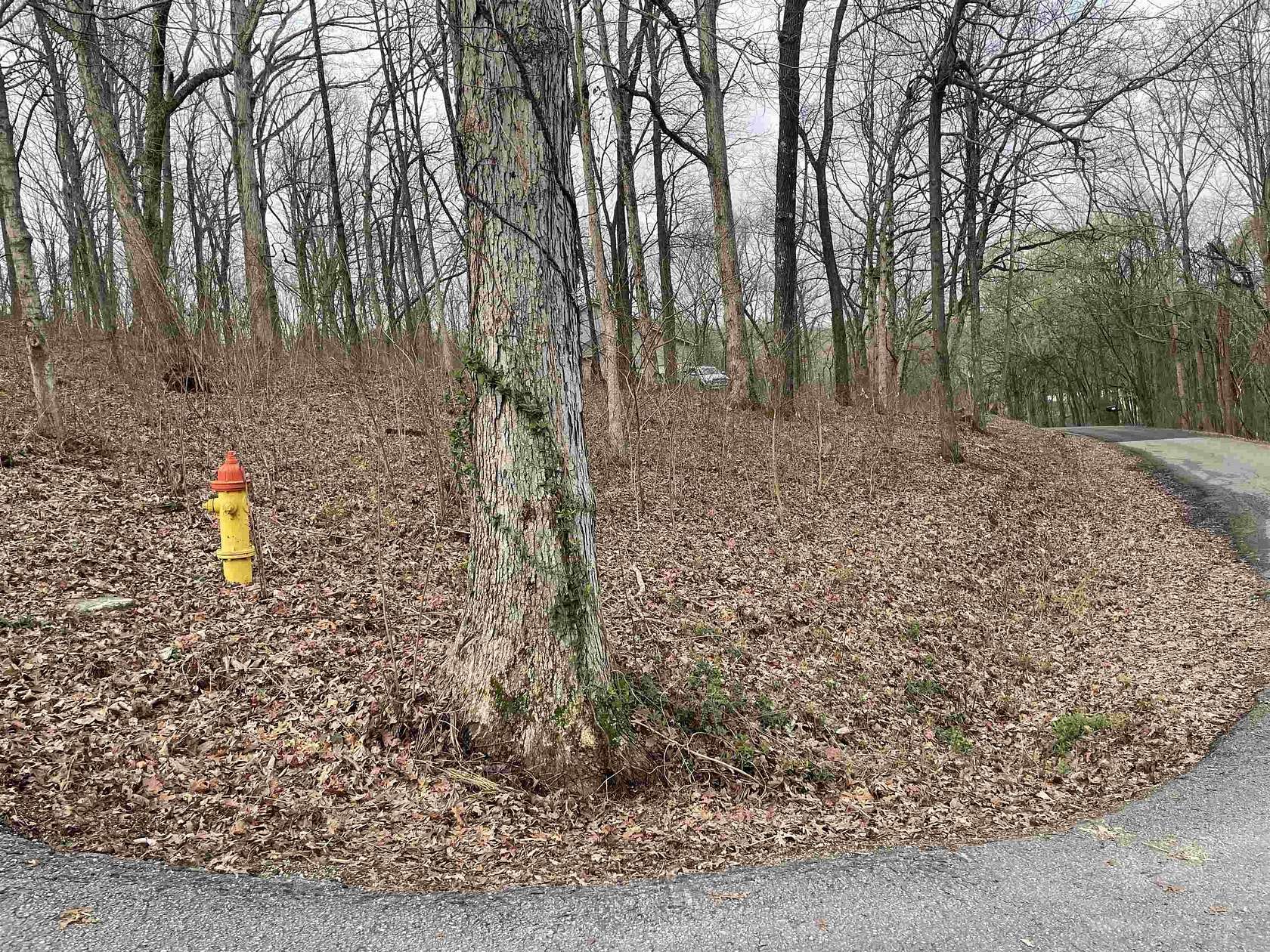 1 Acre of Residential Land for Sale in Russellville, Alabama