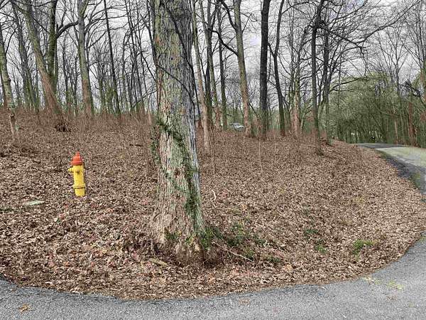 1 Acre of Residential Land for Sale in Russellville, Alabama