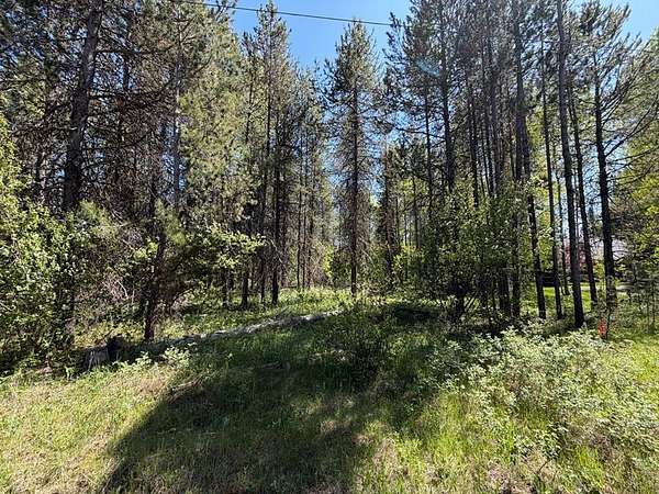 0.47 Acres of Residential Land for Sale in Donnelly, Idaho