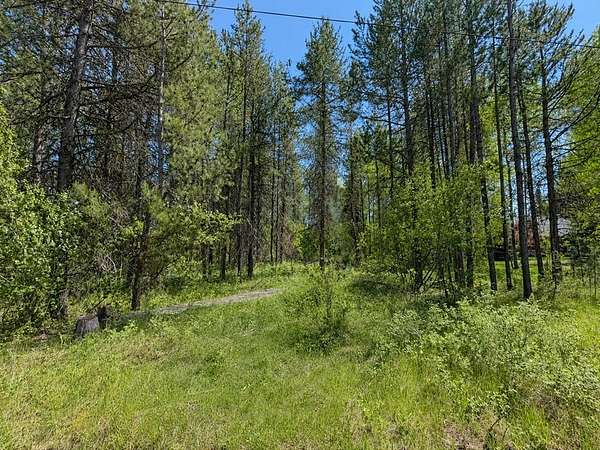 0.47 Acres of Residential Land for Sale in Donnelly, Idaho
