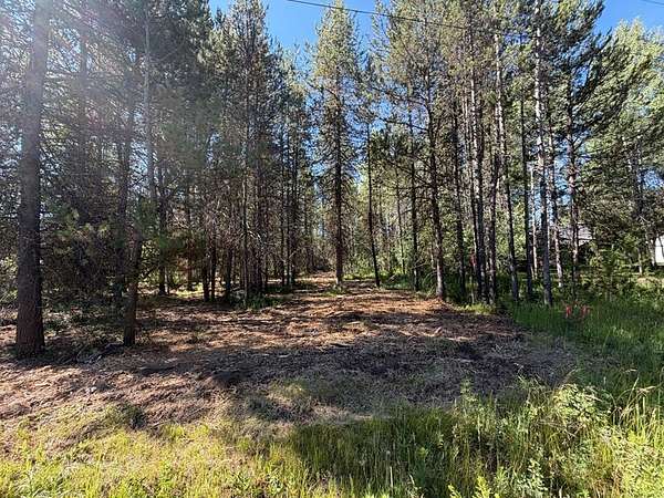 0.47 Acres of Residential Land for Sale in Donnelly, Idaho