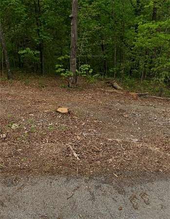 0.35 Acres of Residential Land for Sale in Bella Vista, Arkansas