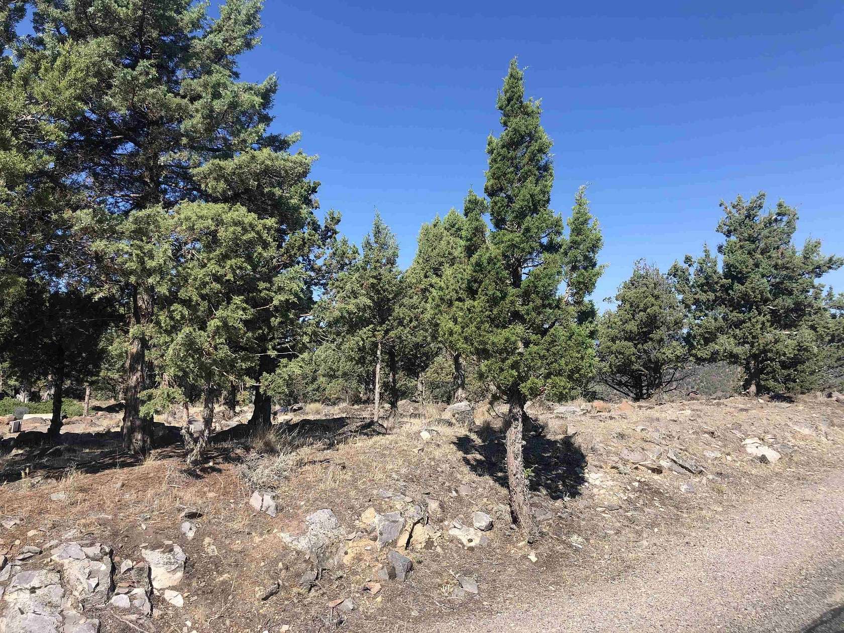 0.3 Acres of Land for Sale in Weed, California
