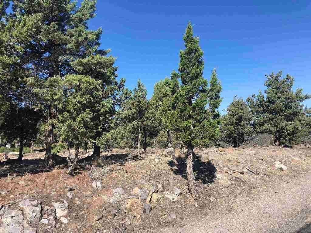 0.3 Acres of Land for Sale in Weed, California