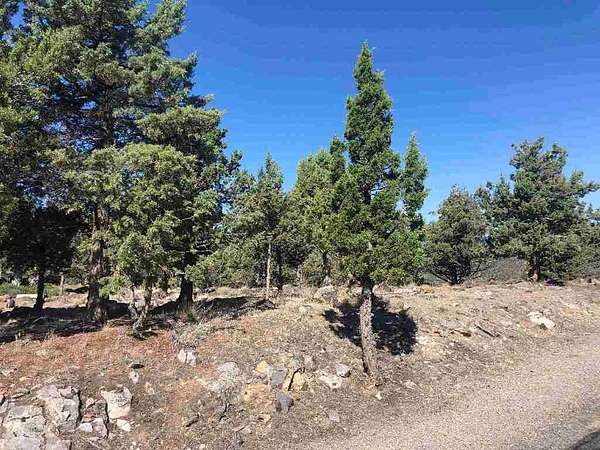 0.3 Acres of Land for Sale in Weed, California