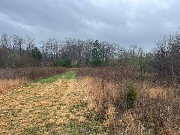 8.6 Acres of Residential Land for Sale in Henry, Tennessee