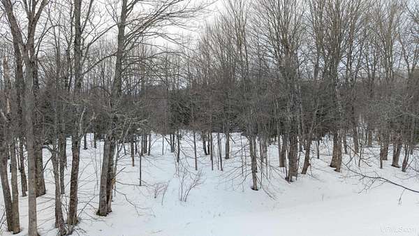 10 Acres of Land for Sale in Rock, Michigan
