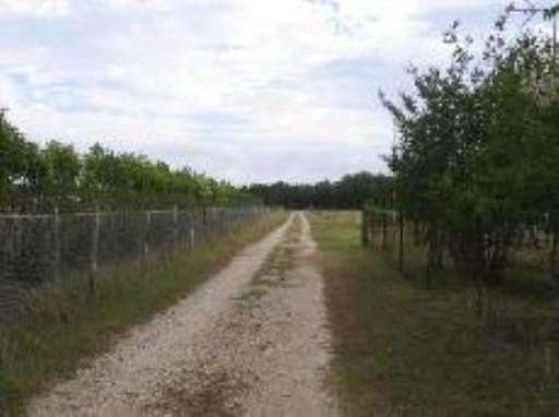 5.46 Acres of Land with Home for Lease in Pipe Creek, Texas
