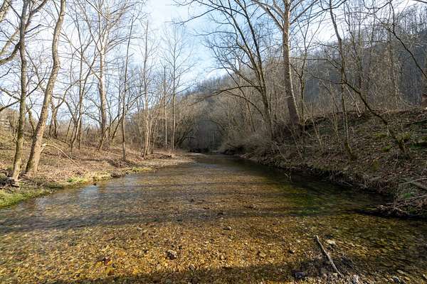 15.8 Acres of Land for Sale in Whitleyville, Tennessee