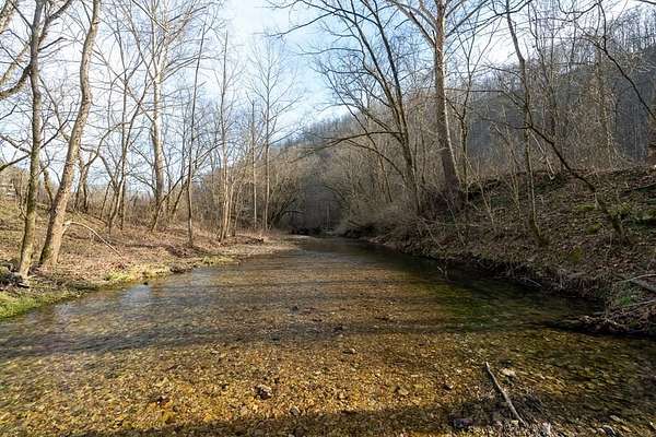 15.8 Acres of Land for Sale in Whitleyville, Tennessee