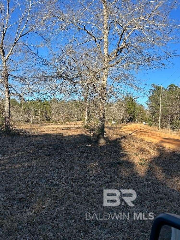 Land for Sale in Brewton, Alabama