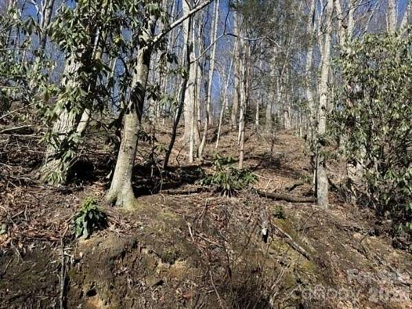 1 Acre of Residential Land for Sale in Hendersonville, North Carolina