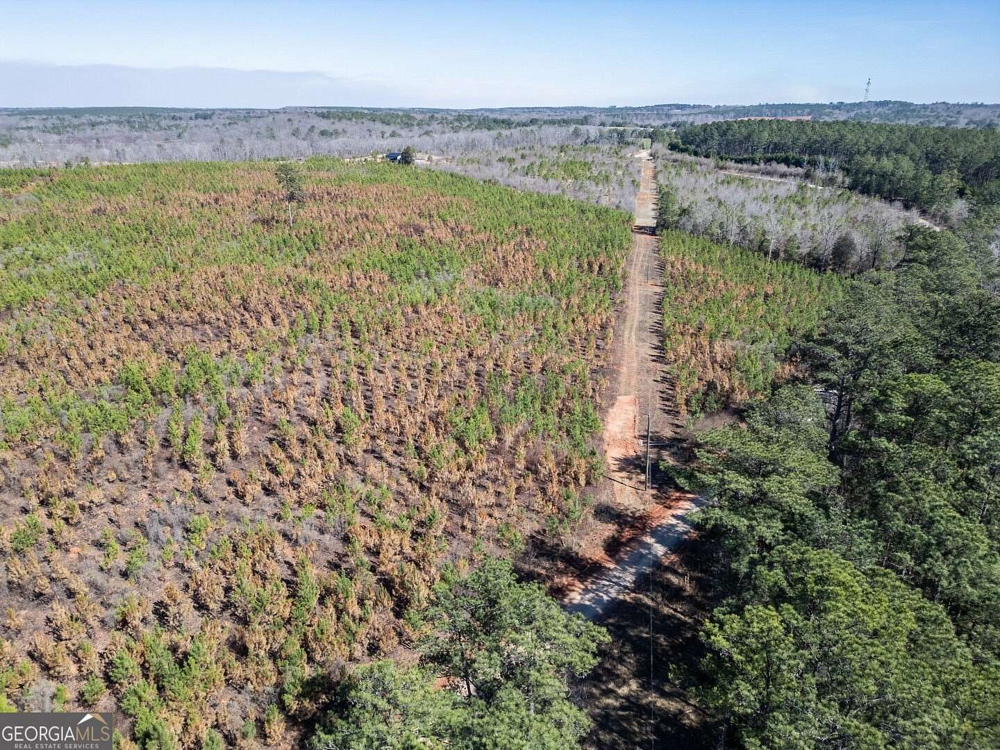 12.6 Acres of Land for Sale in Monticello, Georgia