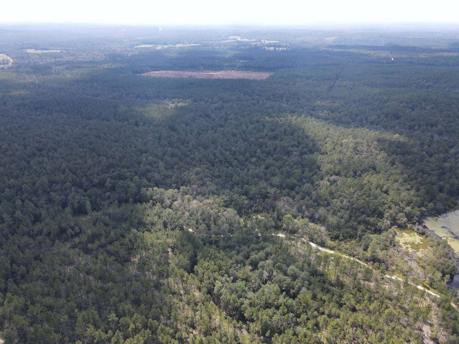 10 Acres of Recreational Land for Sale in Lucedale, Mississippi