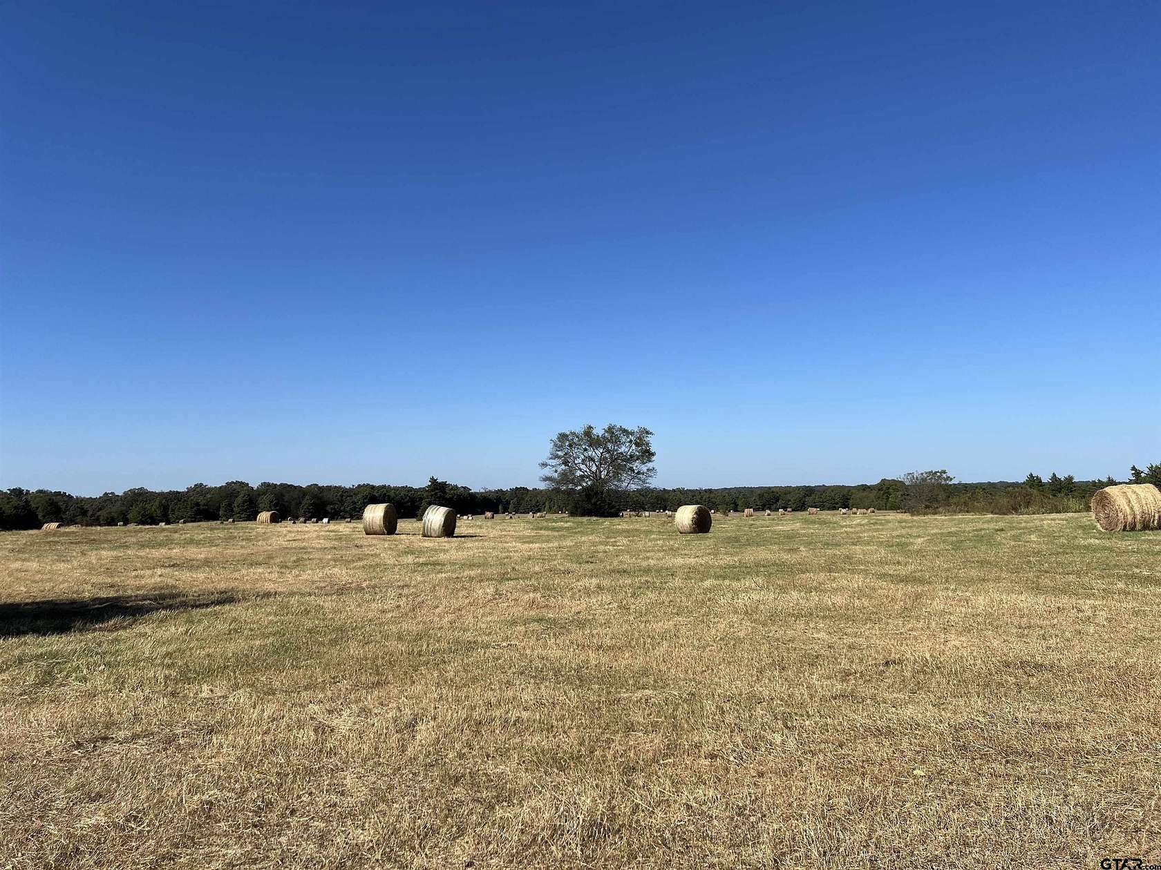 32 Acres of Agricultural Land for Sale in Mount Vernon, Texas