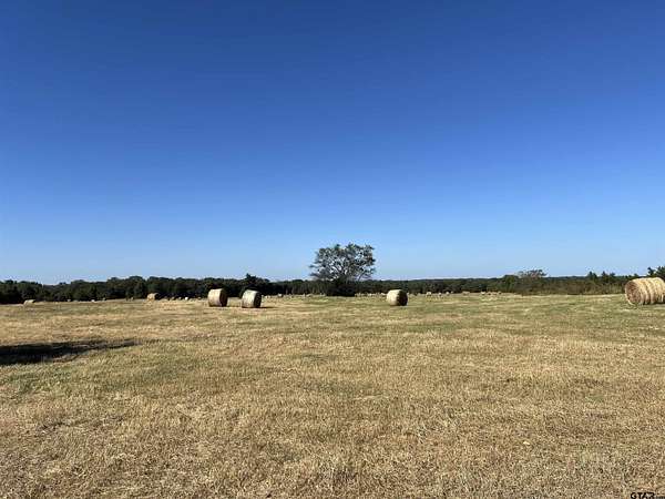 32 Acres of Agricultural Land for Sale in Mount Vernon, Texas