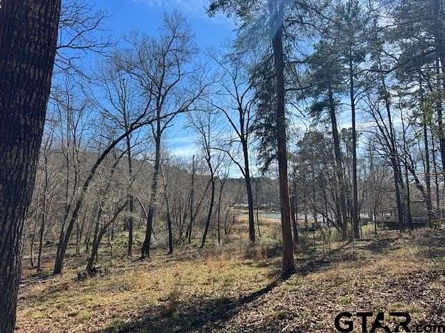 4.28 Acres of Residential Land for Sale in Frankston, Texas