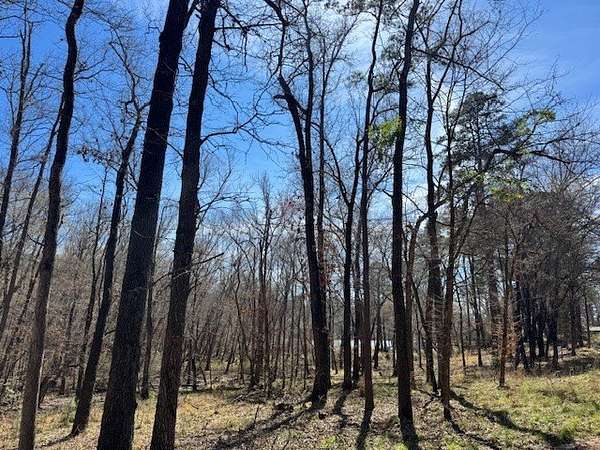 4.28 Acres of Residential Land for Sale in Frankston, Texas