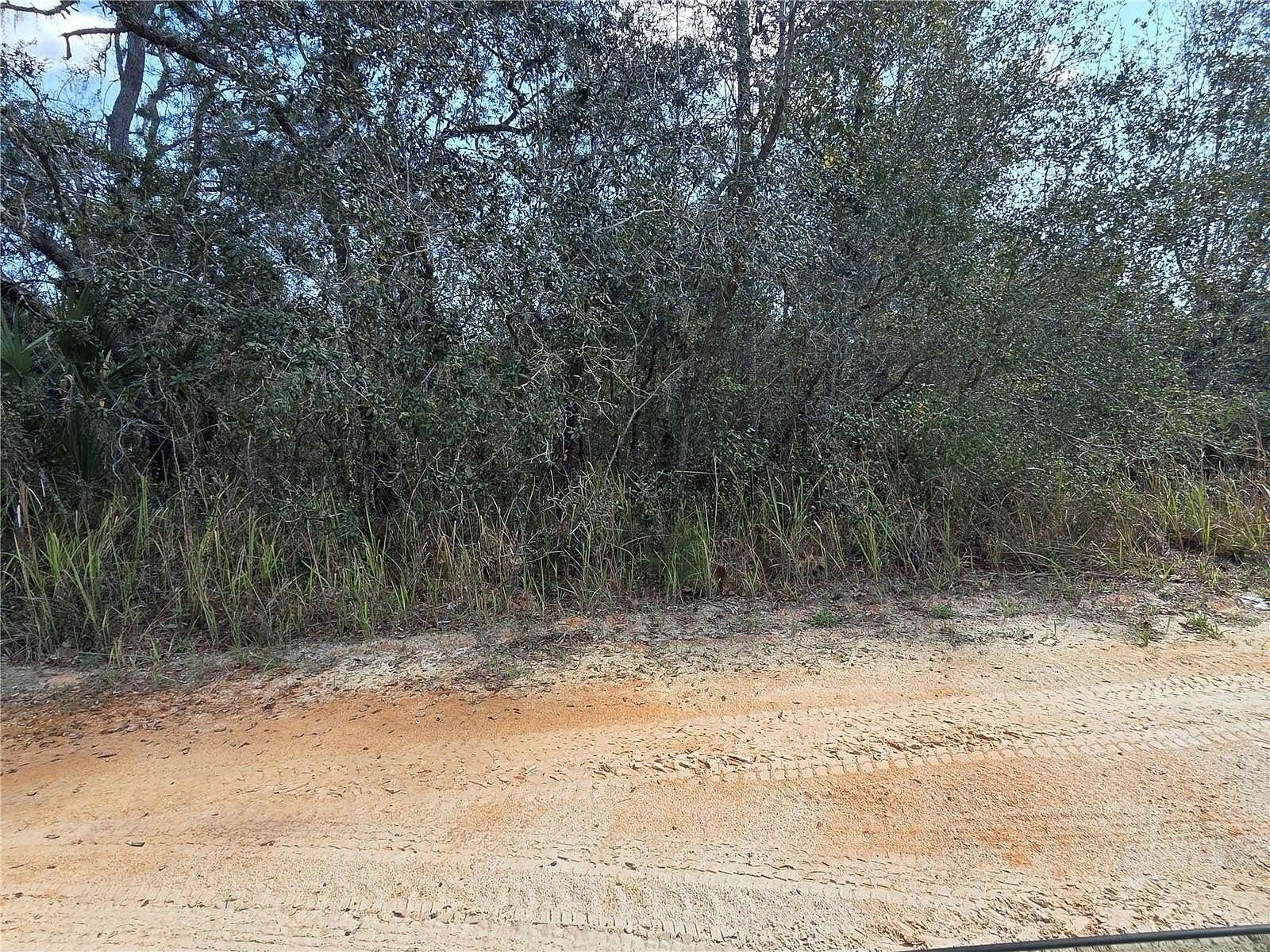 0.5 Acres of Land for Sale in DeLand, Florida