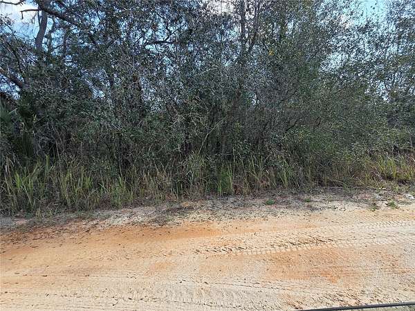0.5 Acres of Land for Sale in DeLand, Florida