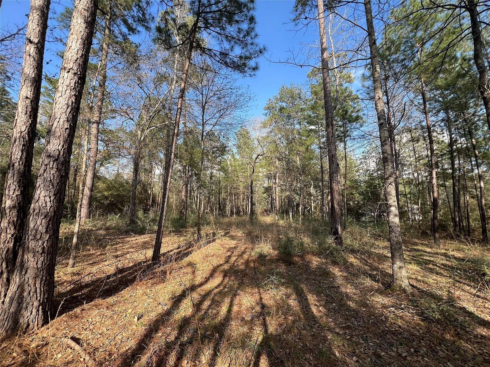 3 Acres of Residential Land for Sale in Huntsville, Texas