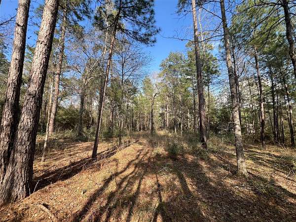 3 Acres of Residential Land for Sale in Huntsville, Texas