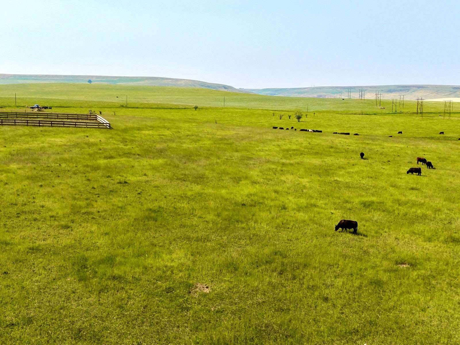 482 Acres of Agricultural & Residential Land for Sale in Great Falls, Montana