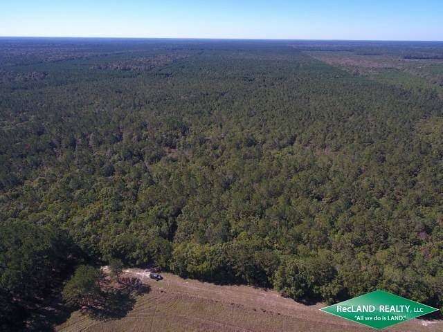 641 Acres of Recreational Land for Sale in Kountze, Texas
