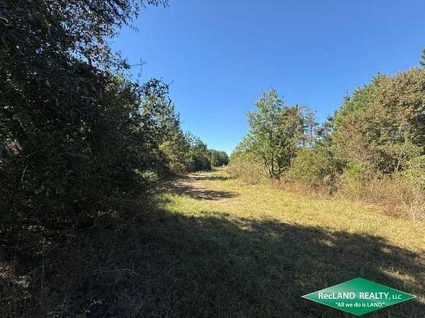 641 Acres of Recreational Land for Sale in Kountze, Texas