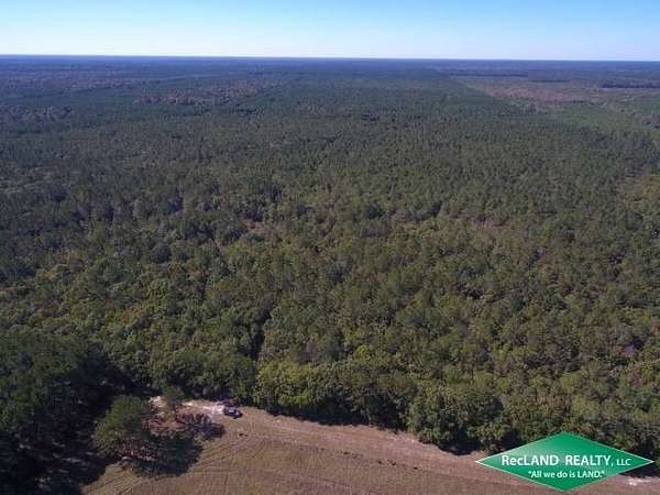 641 Acres of Recreational Land for Sale in Kountze, Texas