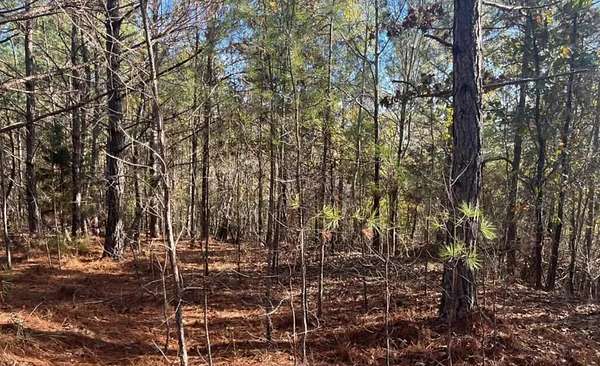 12 Acres of Recreational & Residential Land for Sale in Enville, Tennessee