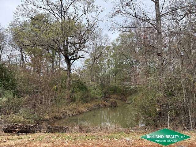 64 Acres of Recreational & Residential Land for Sale in Hamburg, Arkansas