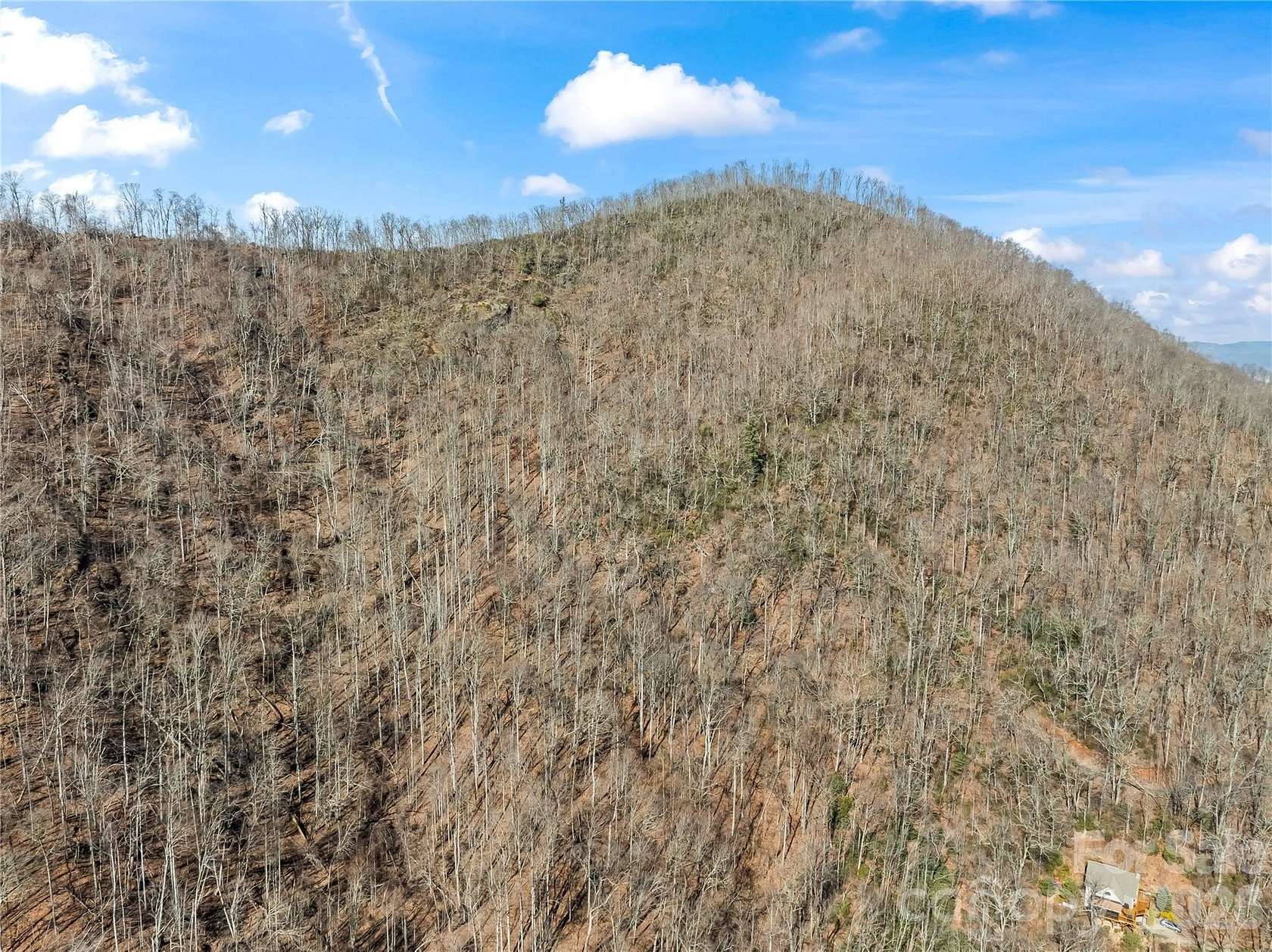 12 Acres of Land for Sale in Barnardsville, North Carolina