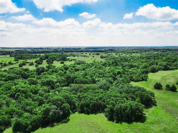 181 Acres of Land for Sale in Forestburg, Texas