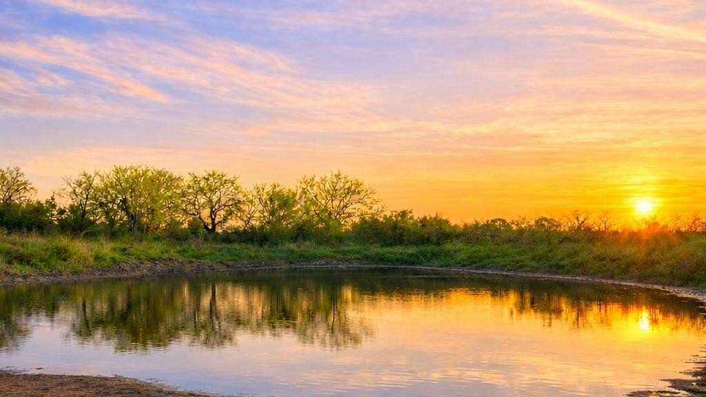 161 Acres of Land for Sale in Jonesboro, Texas