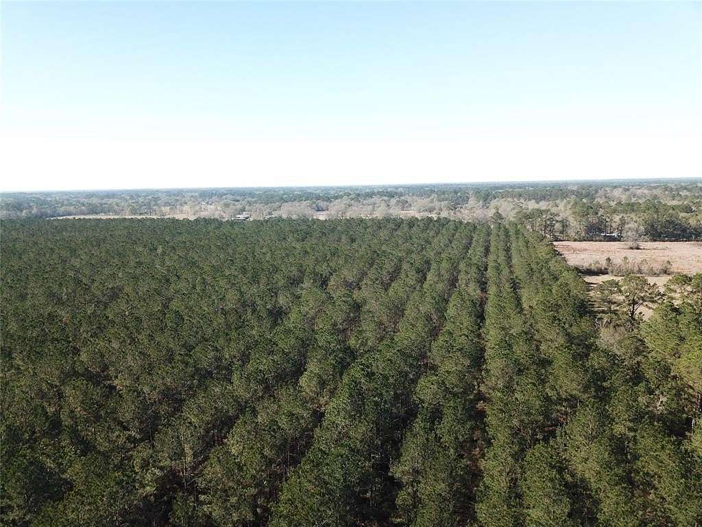 791 Acres of Recreational Land for Sale in Vidor, Texas