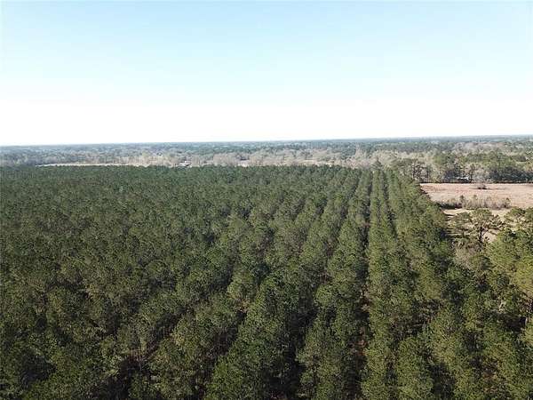 791 Acres of Recreational Land for Sale in Vidor, Texas