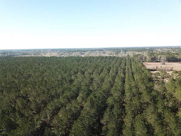 791 Acres of Recreational Land for Sale in Vidor, Texas