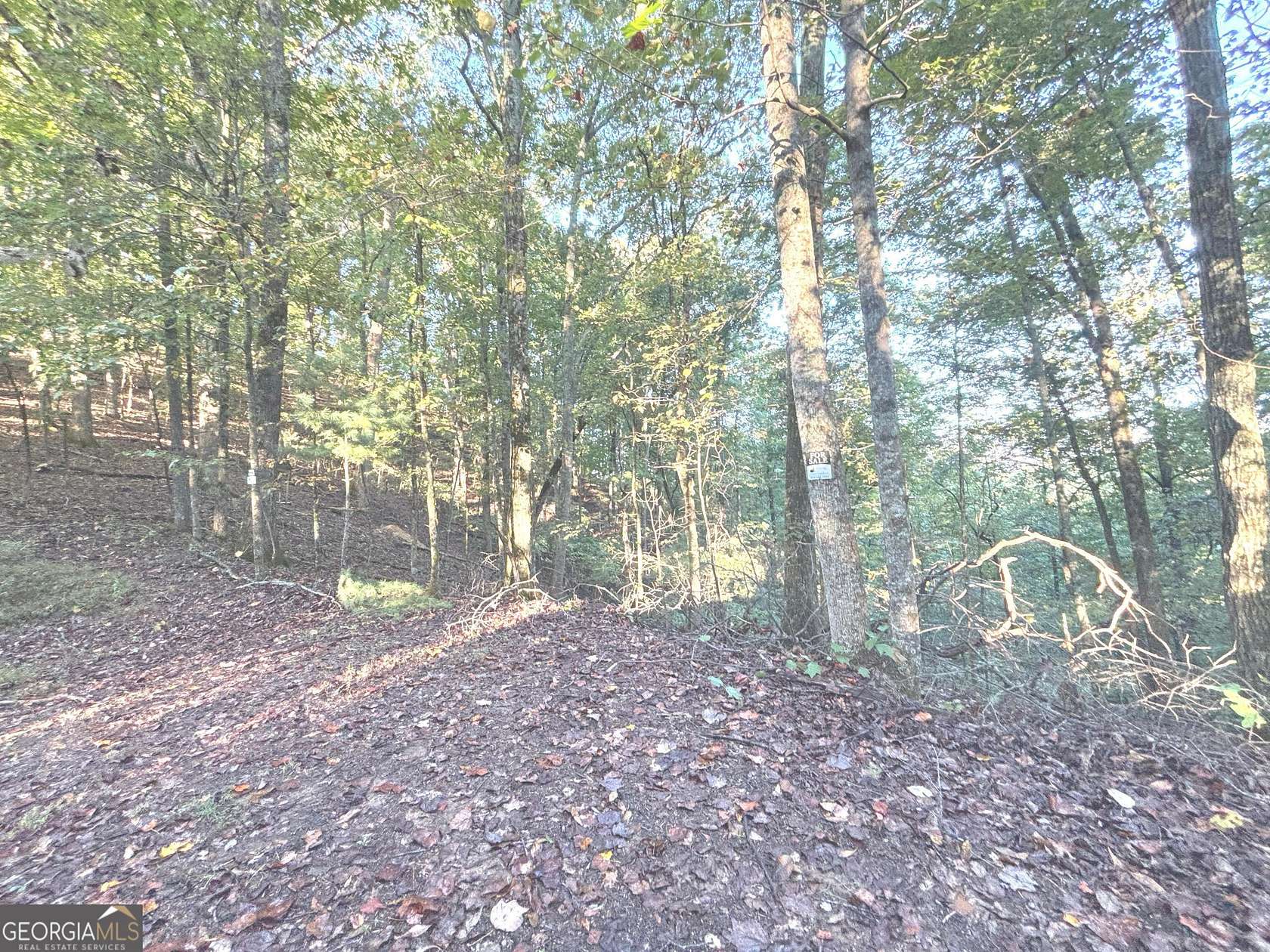 1.46 Acres of Land for Sale in Ranger, Georgia