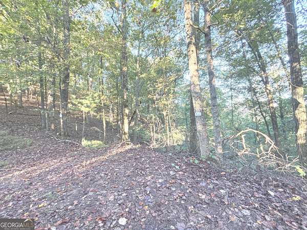 1.46 Acres of Land for Sale in Ranger, Georgia
