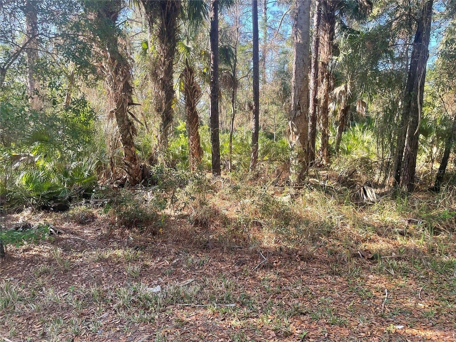 0.5 Acres of Residential Land for Sale in Crystal River, Florida