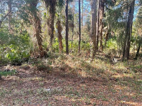 0.5 Acres of Residential Land for Sale in Crystal River, Florida