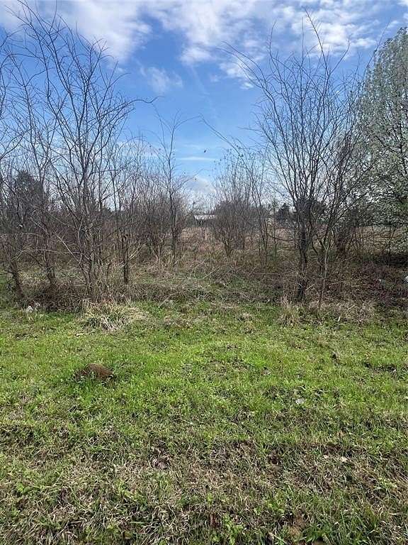 0.35 Acres of Residential Land for Sale in Point, Texas