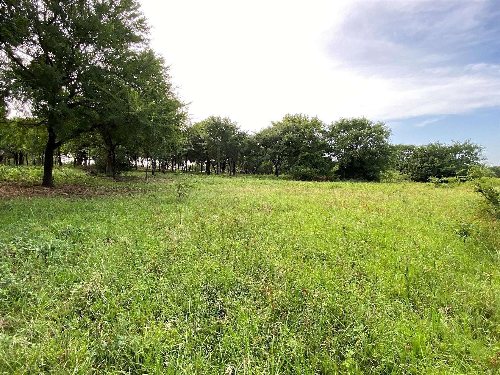 22.8 Acres of Agricultural Land for Sale in Pilot Point, Texas