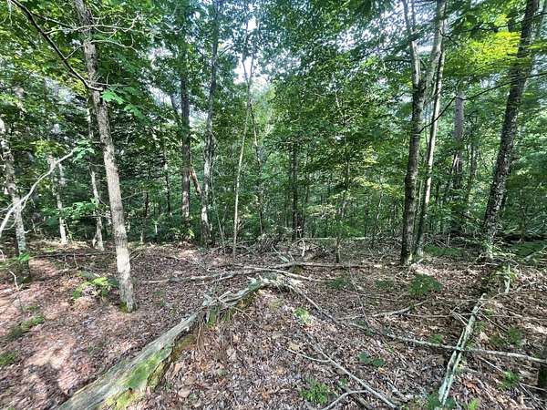 2 Acres of Land for Sale in Ranger, Georgia