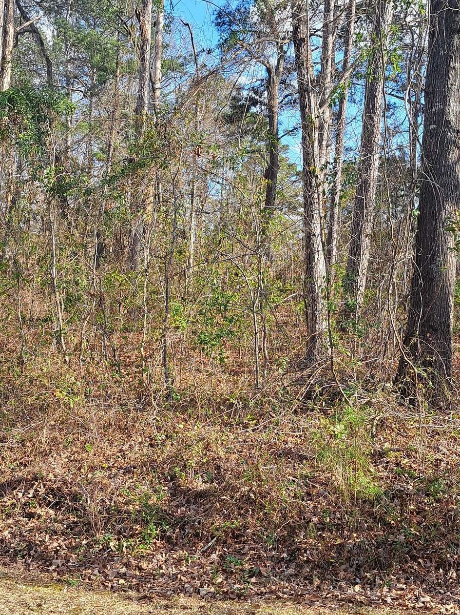 0.47 Acres of Residential Land for Sale in Santee, South Carolina