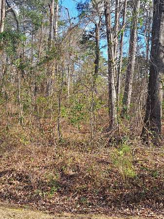 0.47 Acres of Residential Land for Sale in Santee, South Carolina